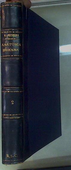 Anatomía Humana. Descriptiva, topográfica y funcional Tomo II Anatomia del Tronco | 153361 | Rouviere, Henri
