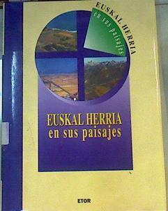 Euskal Herria en sus paisajes: interpretación geográfica de fotografía aérea oblicua | 164414 | Varios