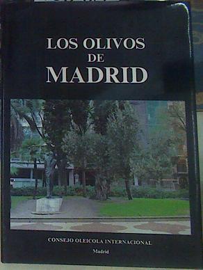 Los Olivos de Madrid | 156383 | Temsamani, Mohamed