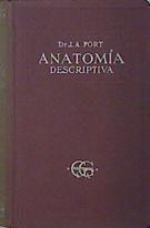 Compendio de la Anatomía descriptiva | 137517 | J A Fort