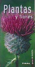 Plantas y flores | 167838 | Polese, Jean-Marie