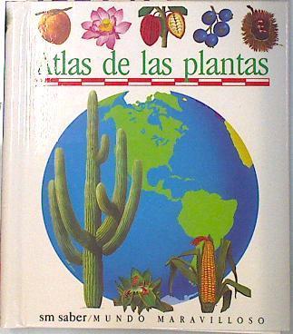 Atlas de Las Plantas | 135017 | Delafosse, Claude/Perols, Sylvaine/Gallimard Jeunesse/Sylvaine Pérols ( Ilustradora)