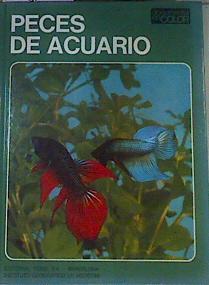 Peces de acuario | 75703 | Lodi, Elso