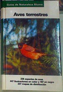 Aves terrestres | 155619 | Sauer, Frieder