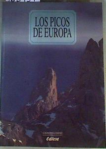 Los Picos de Europa en León | 162954 | Pastrana Giménez, Luis