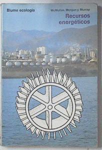 Recursos energéticos | 119373 | Mac Mullan, J. T.