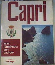 La isla de Capri 88 láminas en color | 165855 | Loreta Santini