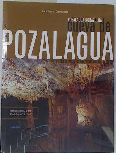 Cueva de Pozalagua valle de Karrantza Pozalagua Kobazuloa | 129951 | Fernández Ortega, Francisco/Valls Uriol, María del Carmen