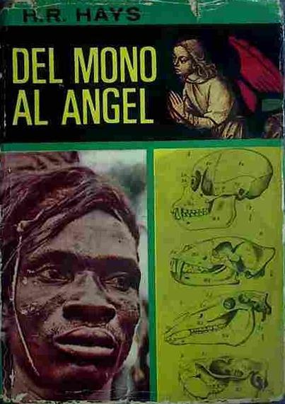 Del Mono Al Angel | 40456 | Hays, H. R.