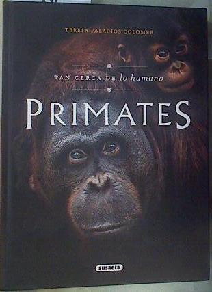 Primates tan cerca de lo humano | 161919 | Teresa Palacios Colomer