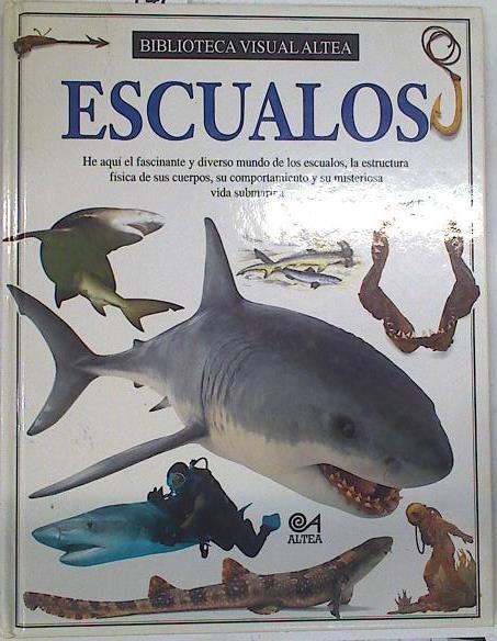 Escualos (Tiburones) | 129522 | Miranda MacQuitty