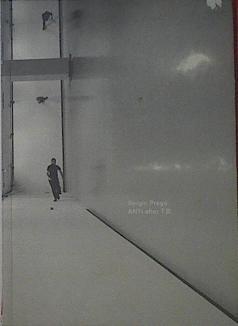 Sergio Prego. Anti-after T.B.  : Sala Rekalde erakustaretoa, 2004eko uztailaren 15tik irailaren 19ra | 123162 | Martínez, Chus/Blom, Ina