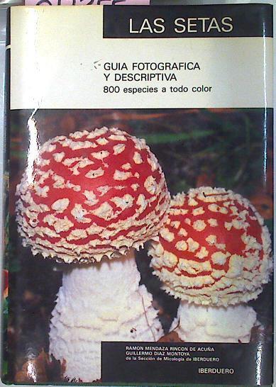 Las Setas. Guia Fotográfica Y Descriptiva, 800 Especies A Todo Color | 57233 | Ramón Mendaza Rincón de Acuña/Guillermo Diaz Montoya