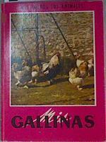 Mis Gallinas | 161135 | Noel Clarasó - traducción