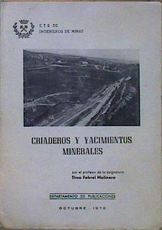 Criaderos y Yacimientos Minerales | 146855 | Febrel Molinero, Tirso