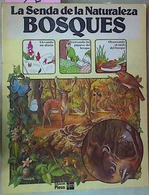 Bosques | 63784 | Barbara Cork/Helen Gilks